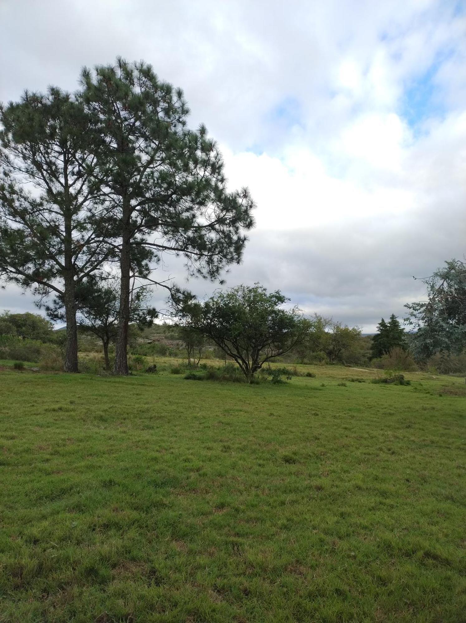 Sens Ecorefugio Camping